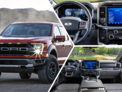 2021 Ford F150 Colors: What’s The Best Choice For You?