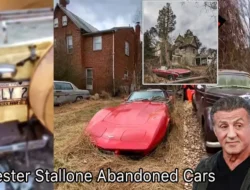 Sylvester Stallone Abandoned Cars: What Problem Is He Having