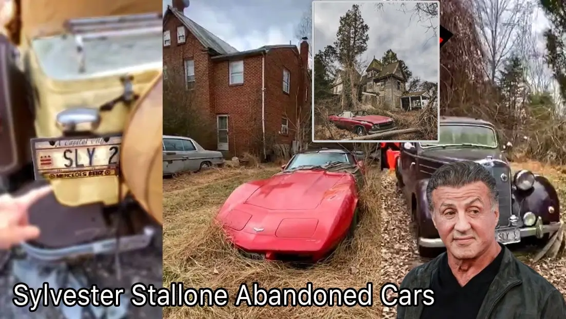 sylvester stallone abandoned cars
