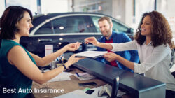 alfa car insurance reviews