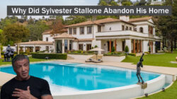 The Sad Reality of Why Did Sylvester Stallone Abandon His Home